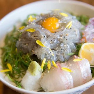 Awaji Island specialty raw shirasu bowl