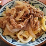 Marugame Seimen Tenri Ten - 