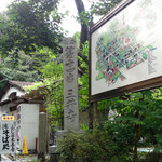 Fujinoki Chaya - 