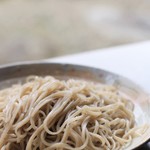 蓼 - 料理写真:色白の更科みたいな盛蕎麦