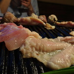 Teppan Yakitori Gonshiro - 