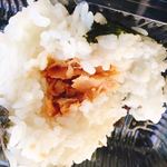 Komeya no Tezukuri Onigiri Tashi Hirokojifushimi Ten - しゃけのおにぎりです。（2018.10 byジプシーくん）