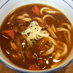 桂川うどんセンター - カレーうどん（小）