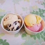 Michi no Eki Nangoku Furari Ice cream Shop - 