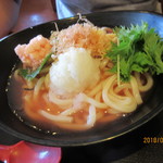 Washoku Sato Biera Taun Nishi Akashi Ten - 梅おろしうどん（うどん1.5盛）