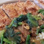 Curry House CoCo Ichibanya Takaishi Nishitorishidana - 手仕込豚ヒレ勝つカレー ﾌﾟﾗｽ ほうれん草