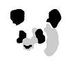 pandaくん