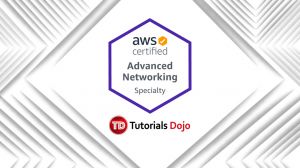 AWS Certified Advanced Networking Specialty Practice Exams