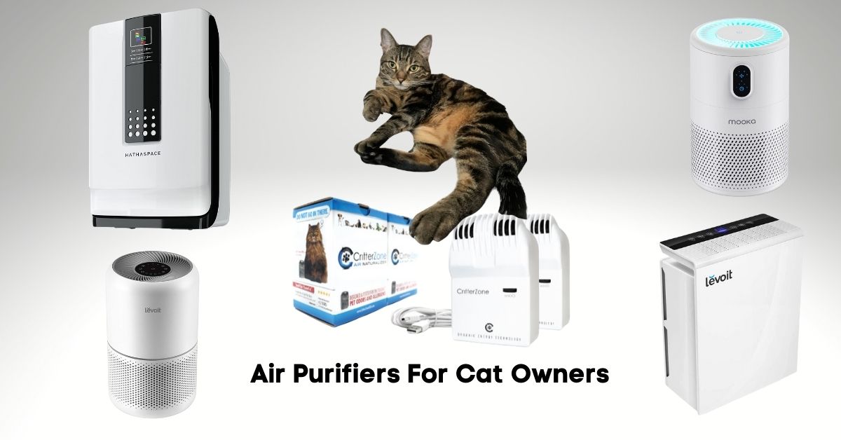 Air purifiers for cat owners