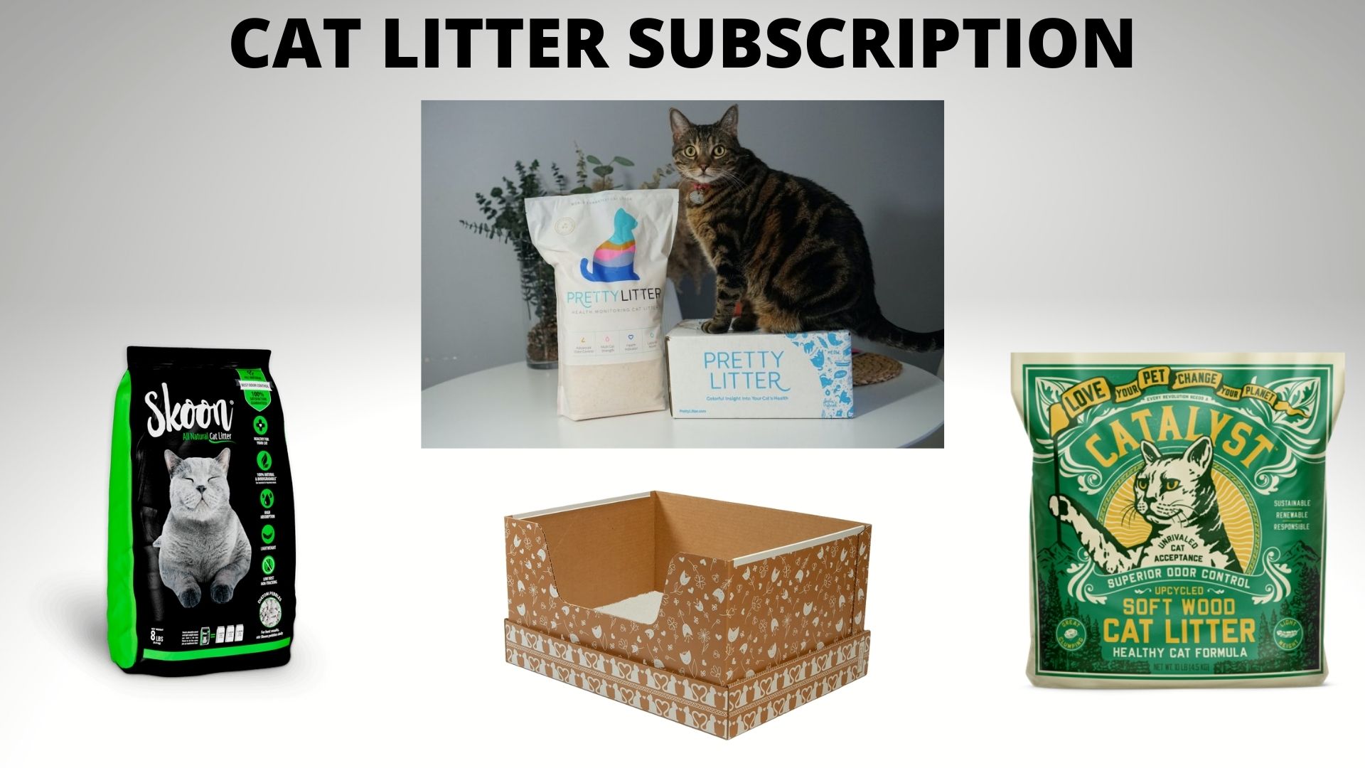 Some of the products provide cat litter subscription service