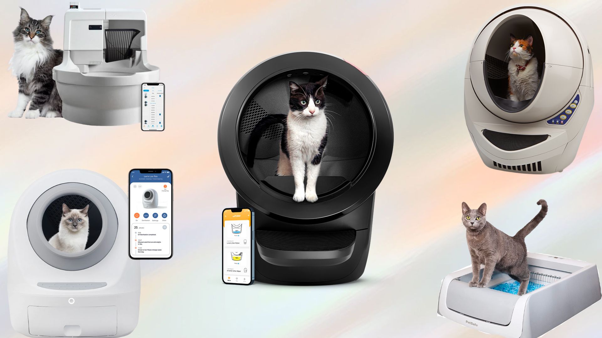 Best self cleaning litter boxes in 2023