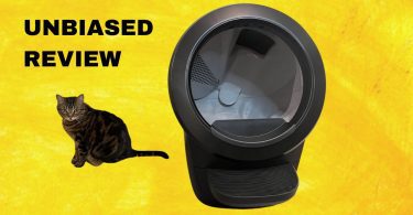 Litter Robot 4 review featured image with litter box and my cat in it