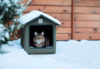 Best Outdoor Heated Cat Houses