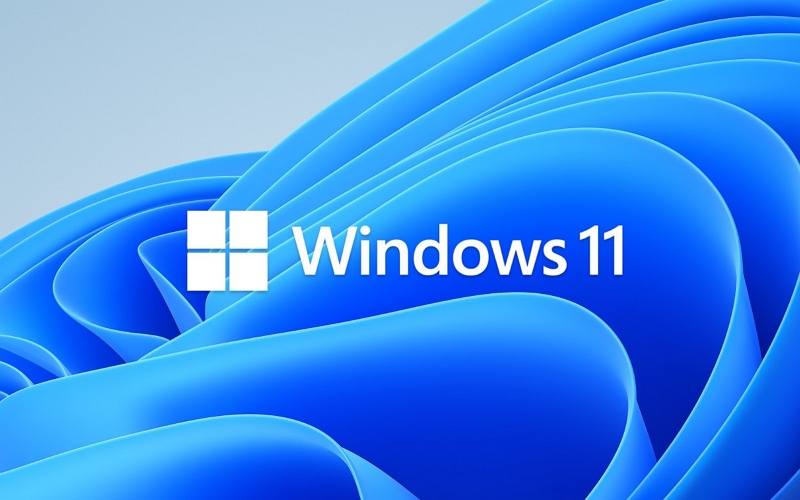 tiny10 和 tiny11 23H2 的 Windows DD 镜像