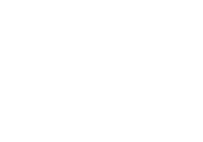 Logo virtuoso