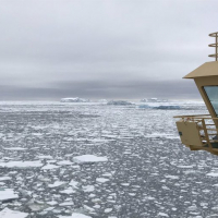 Sea ice near Peter I Island, Antarctica. Photo Credit: Julia Wellner