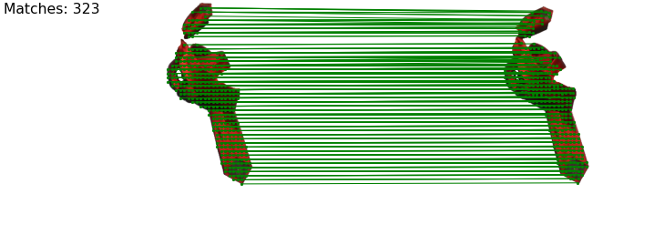 Interpolate start reference image.