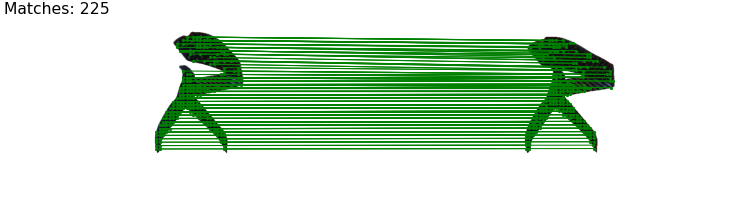 Interpolate start reference image.