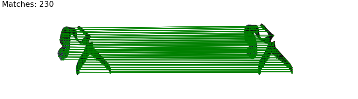 Interpolate start reference image.