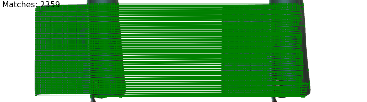 Interpolate start reference image.