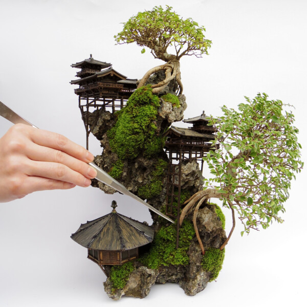 CLIFF BONSAI（断崖盆栽）