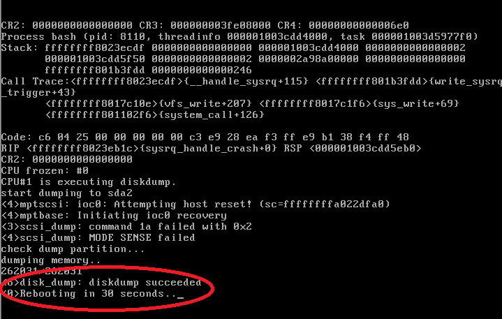 【RedhatLinux】ファイルシステムへの出力が完了し