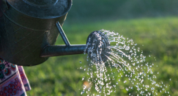 Watering can in garden