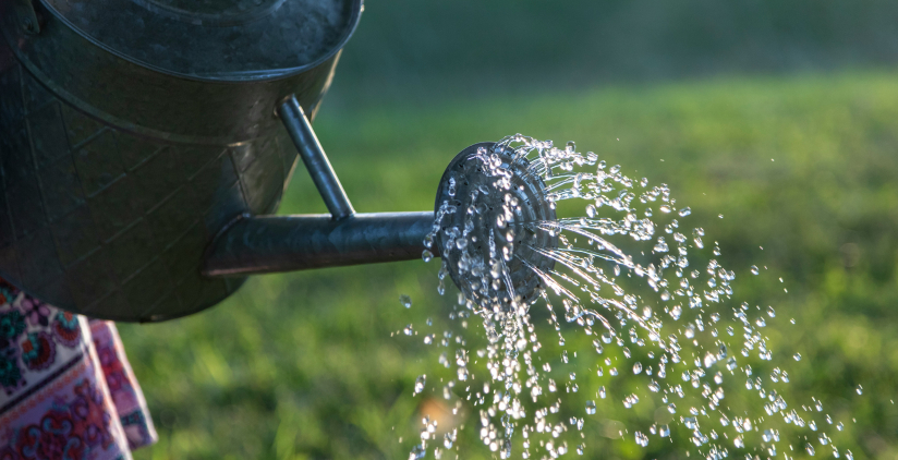 Watering can in garden