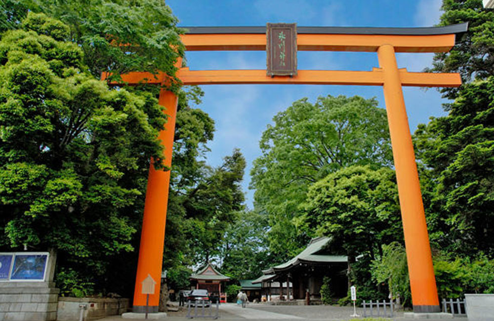 氷川神社写真