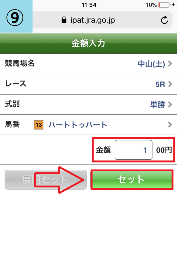 初心者がスマホ版即PATで競馬を始める登録画面19