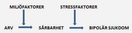 Stressmodell.