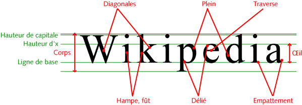 Figure résumant les principaux termes typographiques.