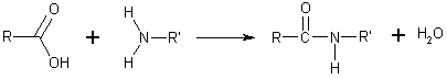 Amide bond formation