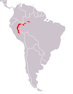 A skarlátarcú majom 3 alfajának az elterjedési területe; a C. c. novaesi területe nincs megjelenítve, ez az alfaj a Juruá folyó mentén él