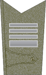 Plukovník – Armáda ČSR – 1919–1920
