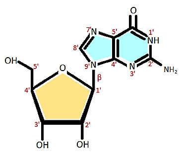 GUANOSINA