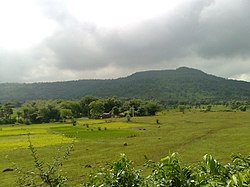 View of Rajmahal Hills