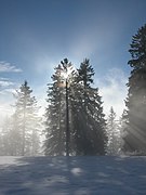 In the alps near Tegernsee; Bavarian, Germany