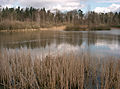 Der neue Gleichener See im Mainhardter Wald