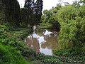 Río Bogotá a su paso por Zipaquirá.