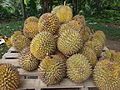 Plody durianu (Durio zibethinus)