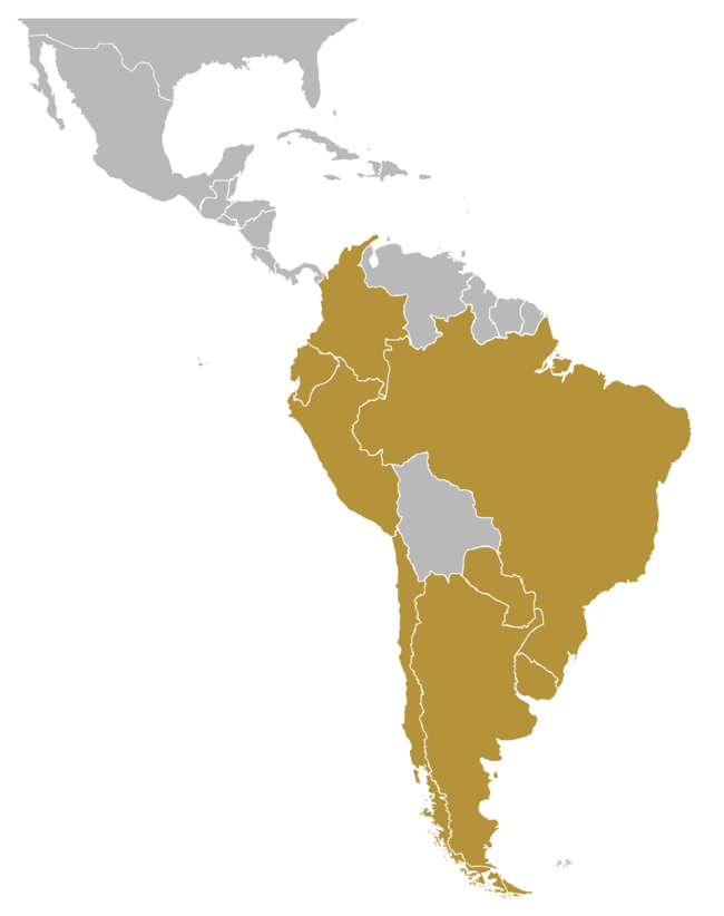 Copa de Campeones de América 1963 está ubicado en América del Sur
