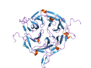 2oit: Crystal Structure of the N-terminal Domain of the Human Proto-oncogene Nup214/CAN