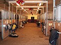 Horse stable interior.