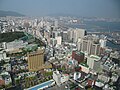 부산타워에서 본 풍경/ View from Busan Tower