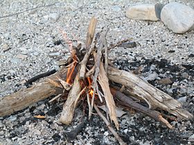 Wood fire in a dried up river bed