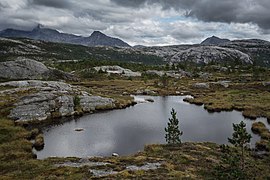 Wilderness near Bodø 3 - panoramio.jpg