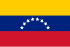 State flag of Venezuela