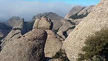 Conglomerat. Massís de Montserrat. Catalunya