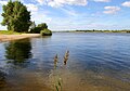 Elbe at German river KM 503 near Dömitz